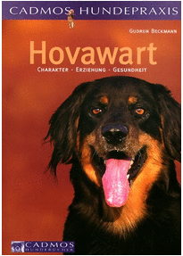 hovawart